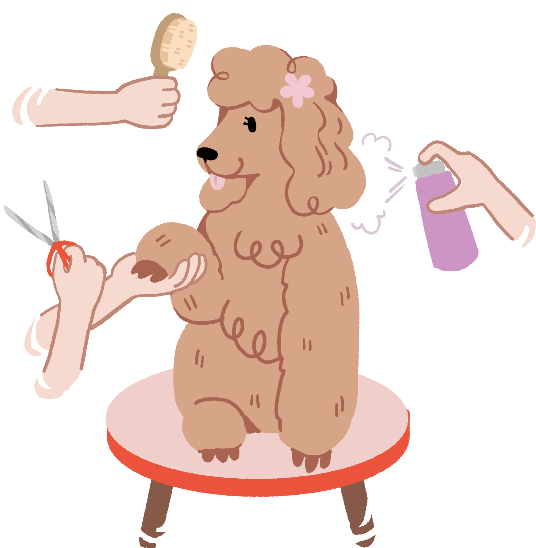 Pet grooming illustration